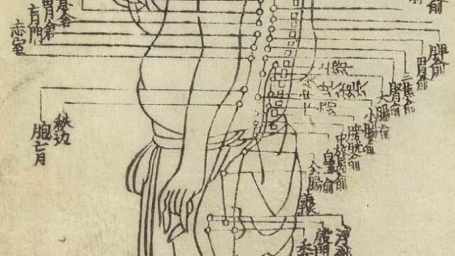 Symmery Acupuncture